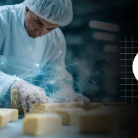 Food, Agribusiness, Processing & Packaging Business Setup in India | India BizSetup